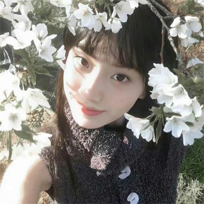 小象西娜