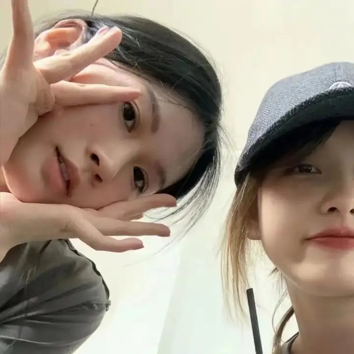献给阿尔吉侬的花束